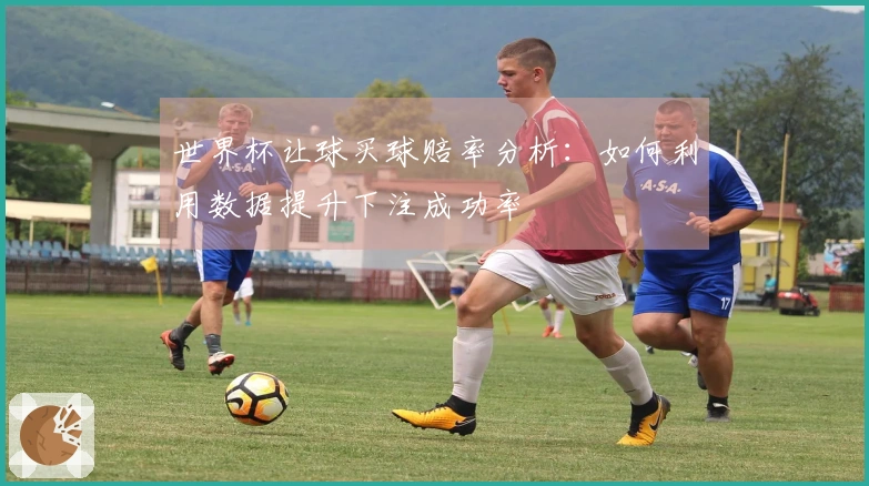 世界杯让球买球赔率分析：如何利用数据提升下注成功率