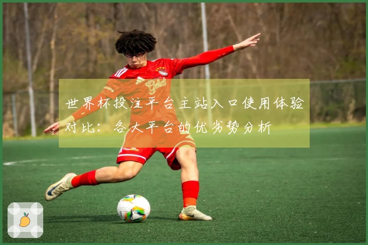 世界杯投注平台主站入口使用体验对比：各大平台的优劣势分析