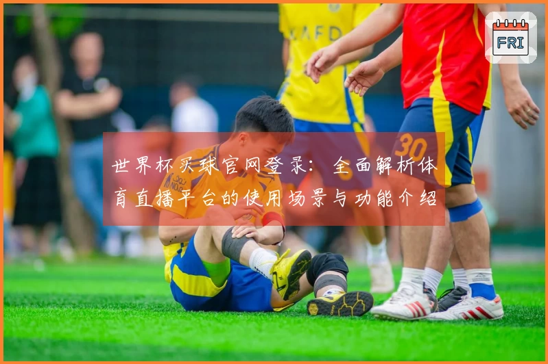 世界杯买球官网登录：全面解析体育直播平台的使用场景与功能介绍