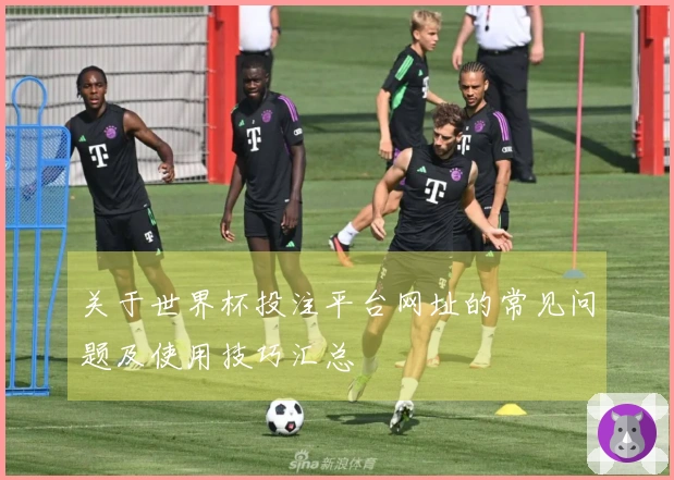 关于世界杯投注平台网址的常见问题及使用技巧汇总