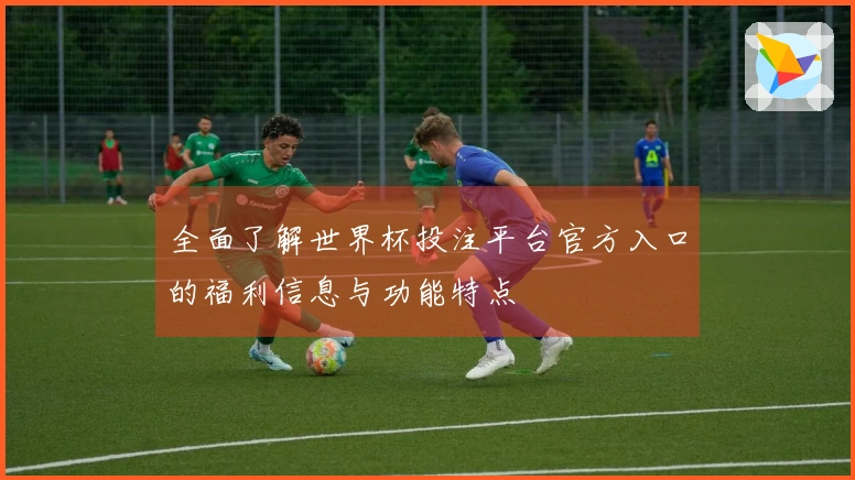 全面了解世界杯投注平台官方入口的福利信息与功能特点