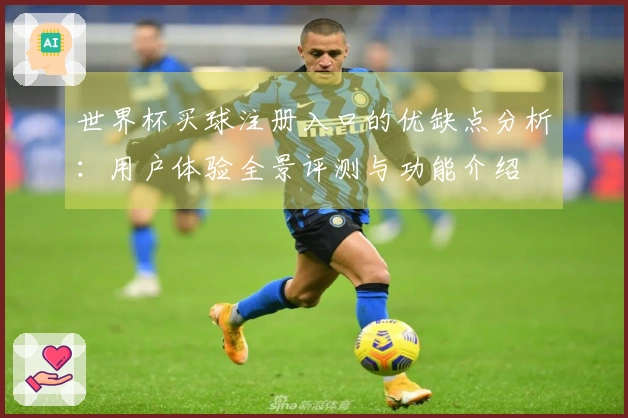 世界杯买球注册入口的优缺点分析：用户体验全景评测与功能介绍