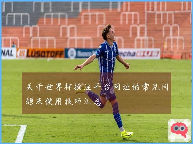 关于世界杯投注平台网址的常见问题及使用技巧汇总