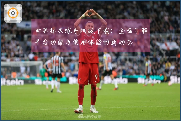 世界杯买球手机版下载：全面了解平台功能与使用体验的新动态