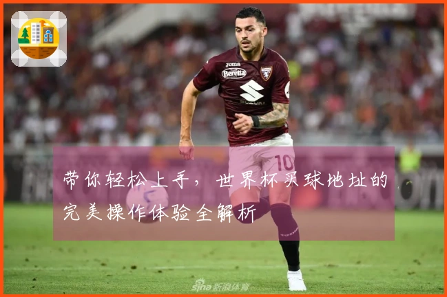 带你轻松上手，世界杯买球地址的完美操作体验全解析