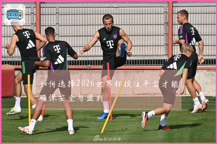 如何选择2026世界杯投注平台才能确保安全与盈利
