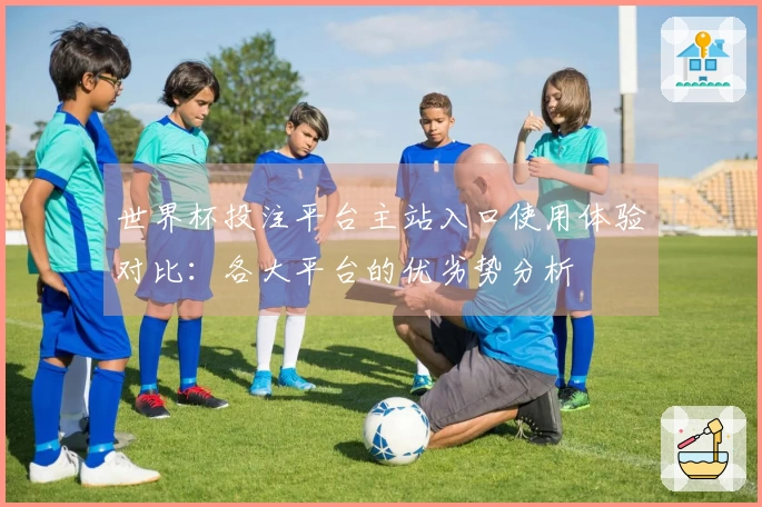 世界杯投注平台主站入口使用体验对比：各大平台的优劣势分析