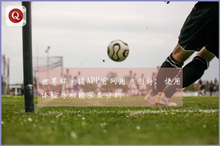 世界杯竞猜APP官网用户测评：使用体验与功能深度分析