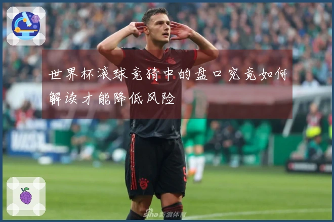 世界杯滚球竞猜中的盘口究竟如何解读才能降低风险